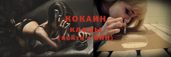 PSILOCYBIN Лагань